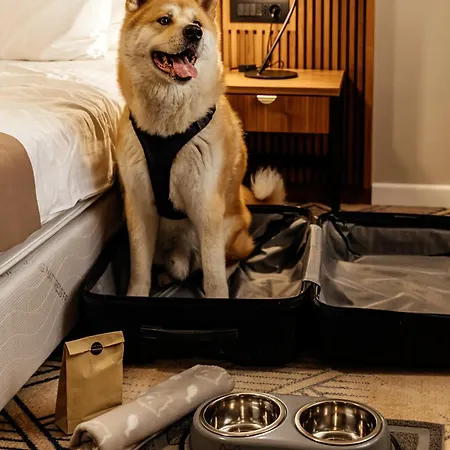 Armerun Heritage Hotel&residences Hotel Šibenik